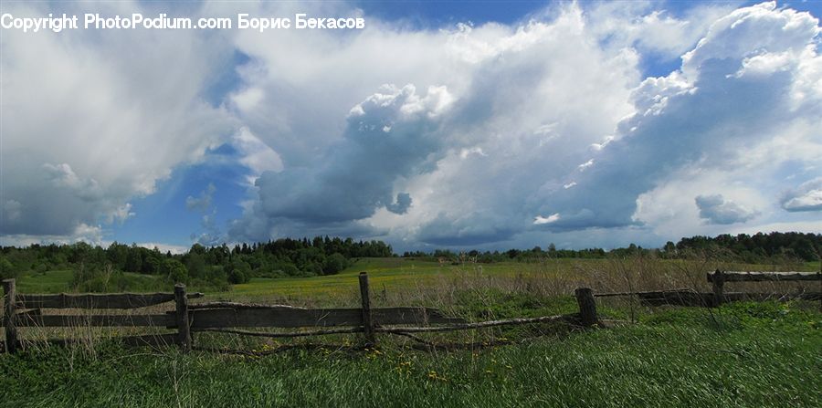 Cloud, Cumulus, Sky, Azure Sky, Outdoors, Field, Grass