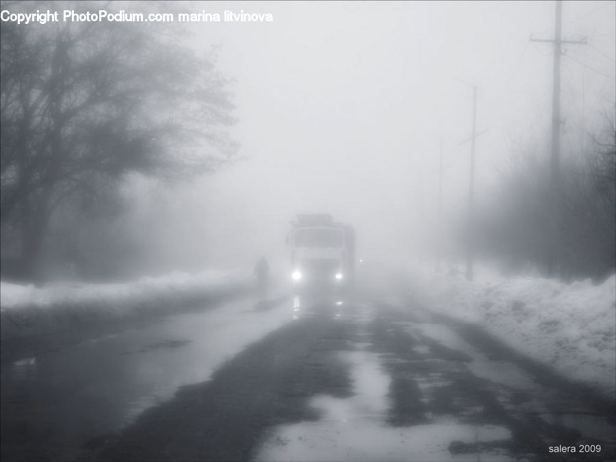 Fog, Road