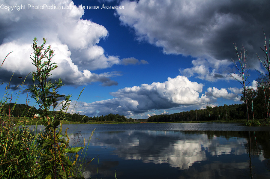 Cloud, Cumulus, Nature, Outdoors, Sky