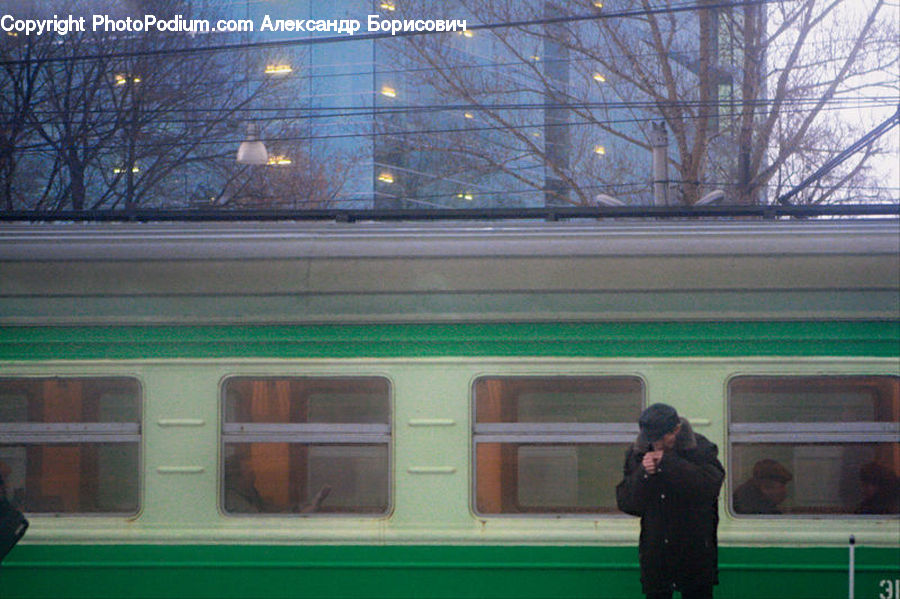 Human, People, Person, Make Out, Passenger Car, Vehicle, Plant