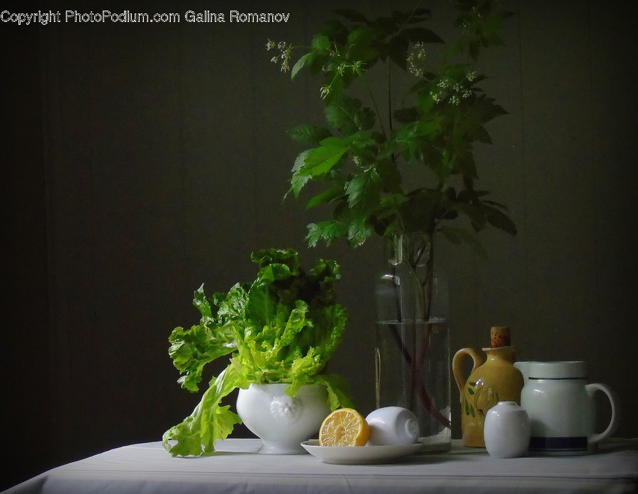 Jar, Pottery, Vase, Flora, Herbs