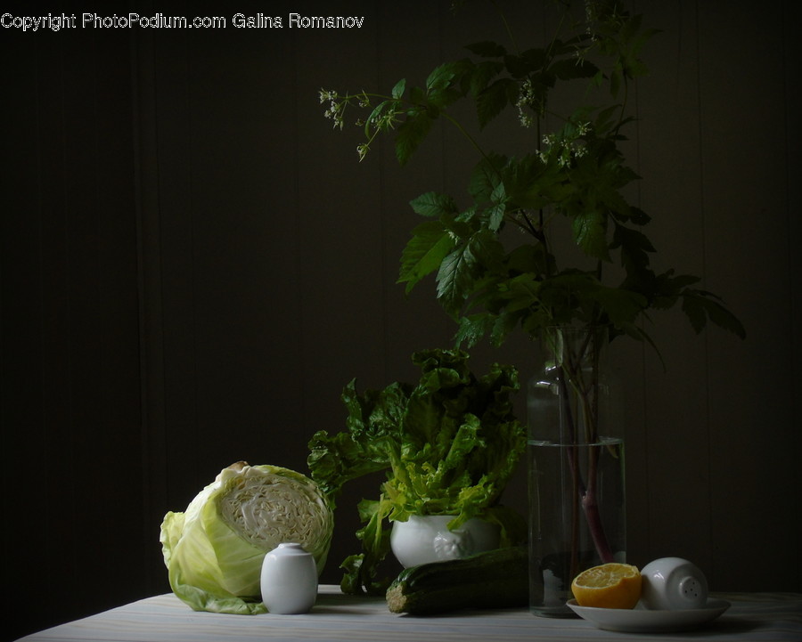 Cabbage, Flora, Food, Plant, Produce