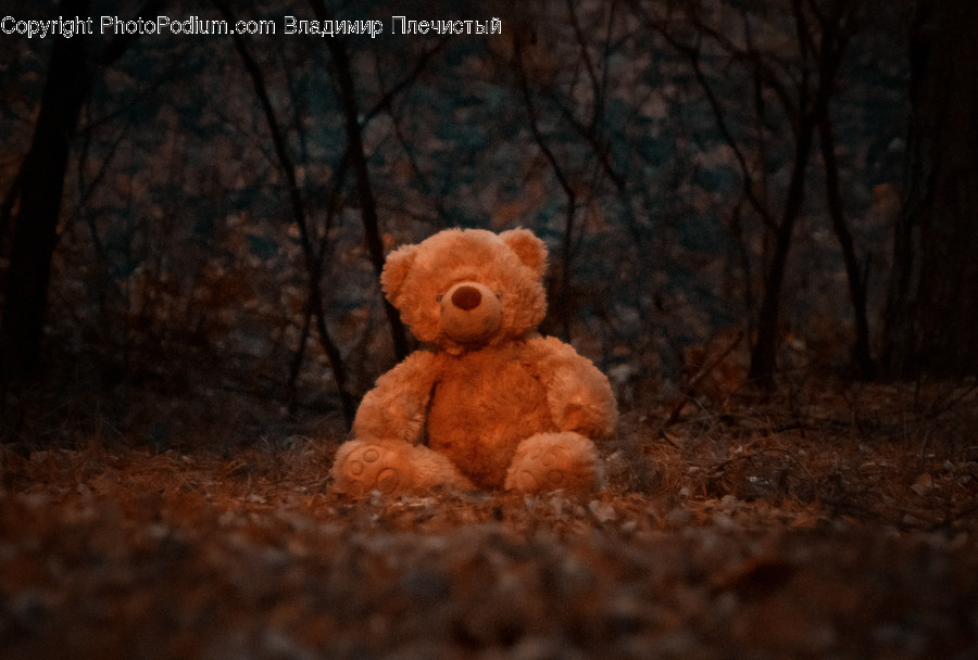 Teddy Bear, Toy, Crypt