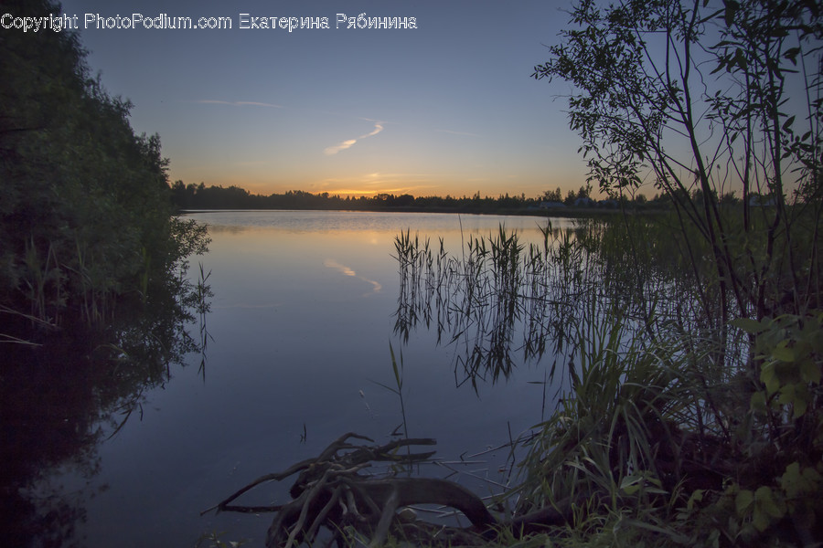 Flood, Nature, Lake, Outdoors, Water