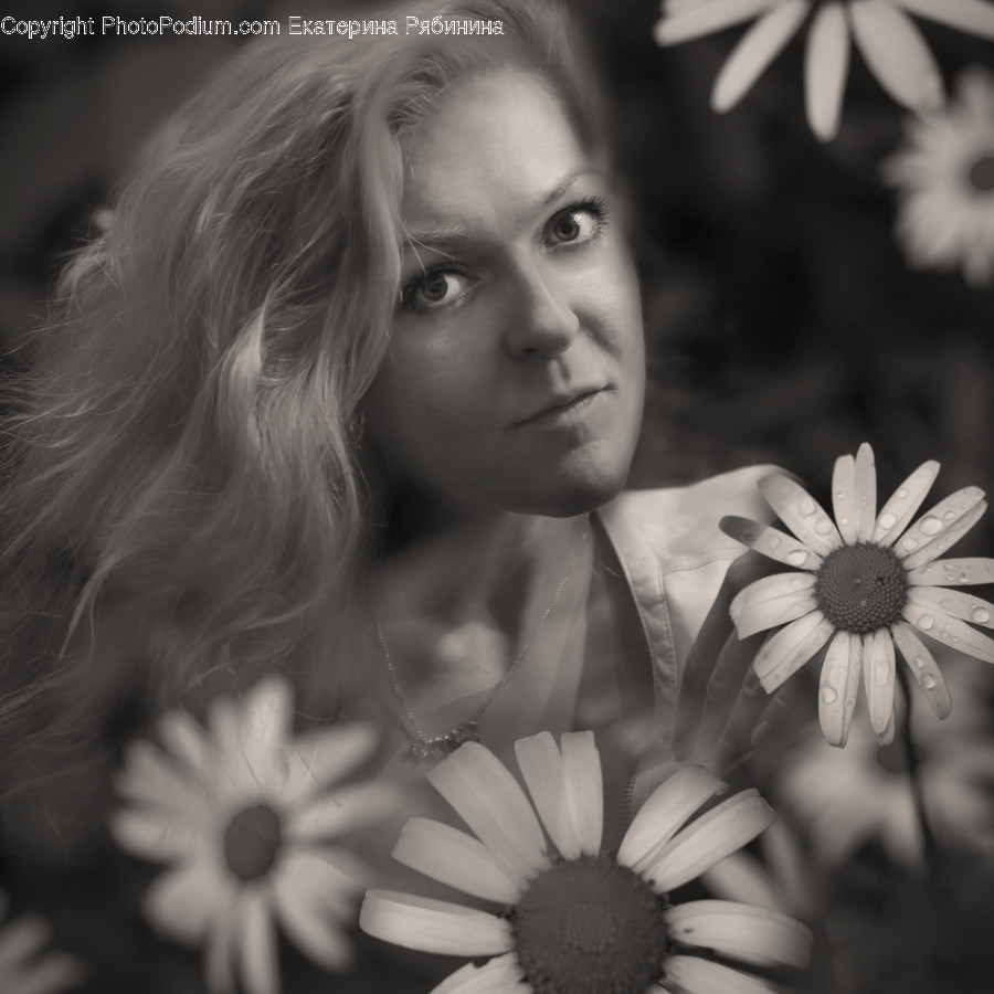 Human, People, Person, Blossom, Daisies