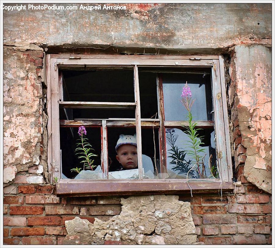 Window, People, Person, Human, Plant, Potted Plant, Cradle