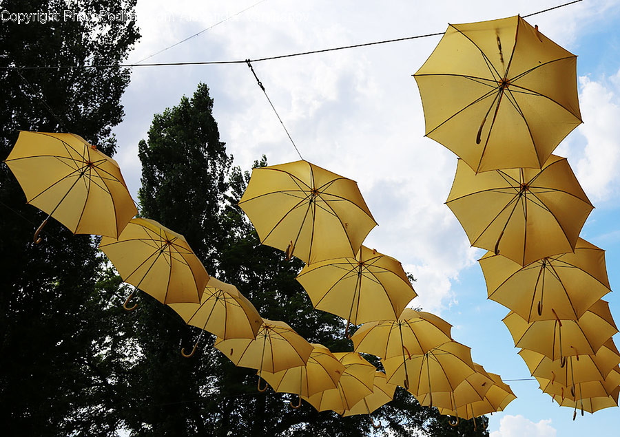 Canopy, Umbrella, Aircraft, Hot Air Balloon, Transportation
