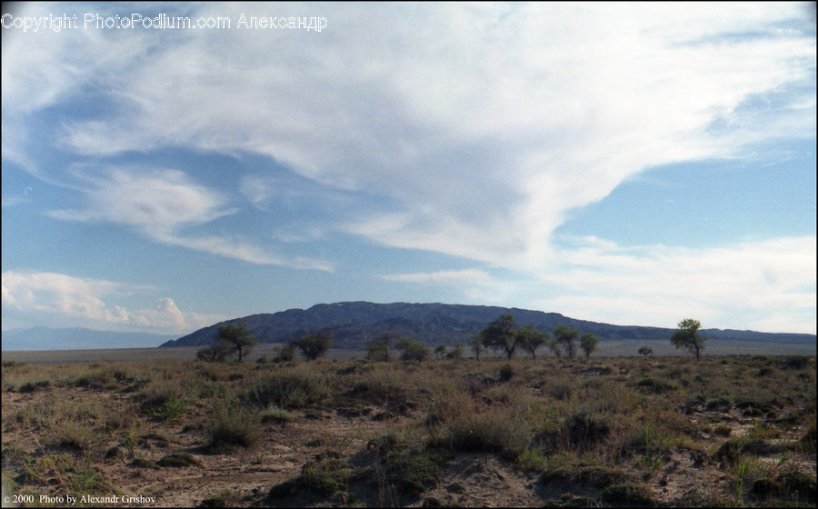 Field, Grassland, Outdoors, Dirt Road, Gravel