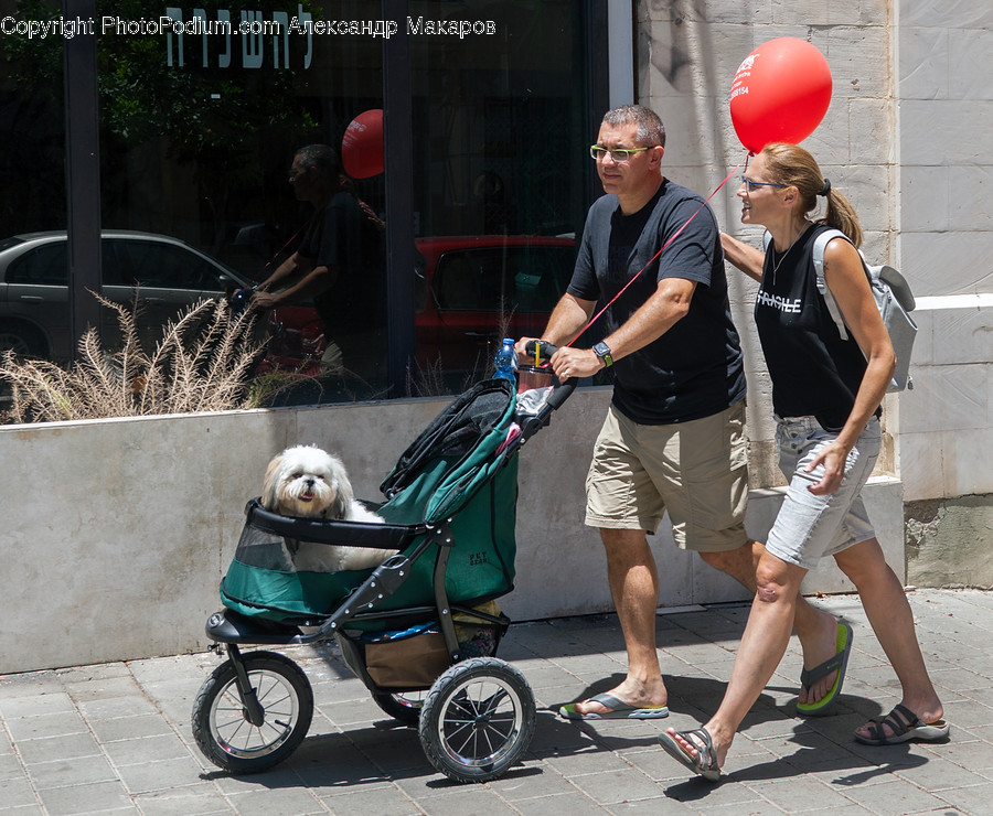 Human, People, Person, Stroller, Automobile