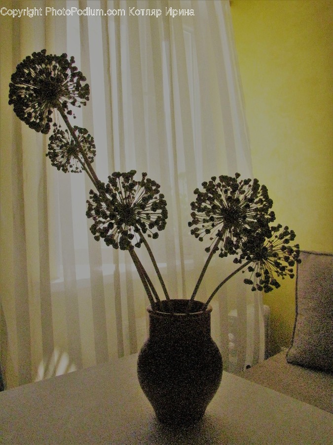 Flora, Jar, Plant, Potted Plant, Pottery