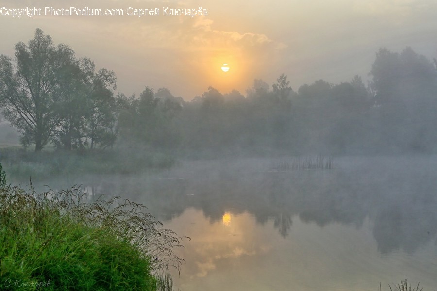 Fog, Mist, Nature, Outdoors, Weather