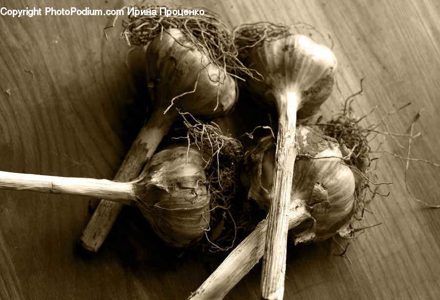 Garlic, Plant, Produce, Vegetable, Pumpkin, Squash, Head