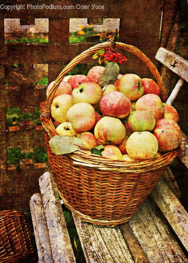 Basket, Flora, Food, Fruit, Plant