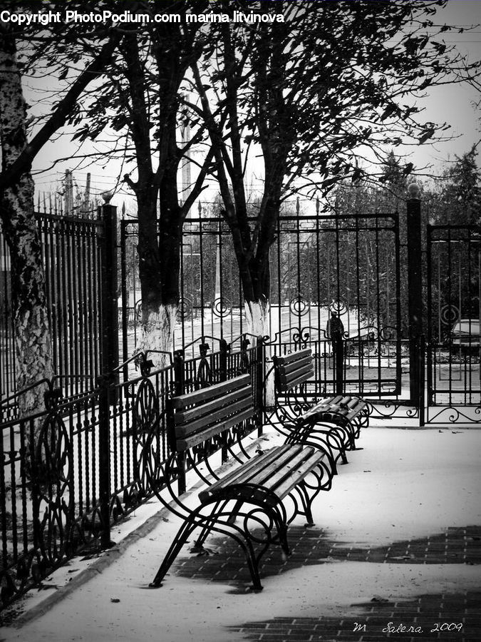 Bench, Fence, Park Bench, Chair, Furniture