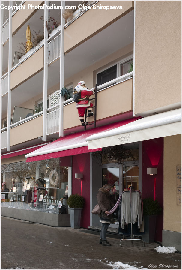 Plant, Potted Plant, People, Person, Human, Building, Housing