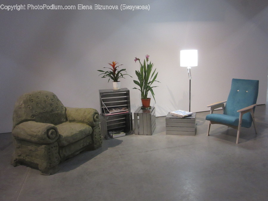 Chair, Furniture, Couch, Flora, Jar