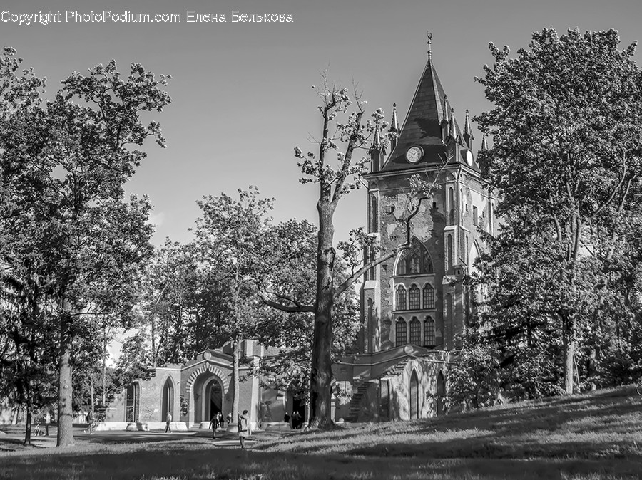 Architecture, Building, Church, Worship, Cathedral