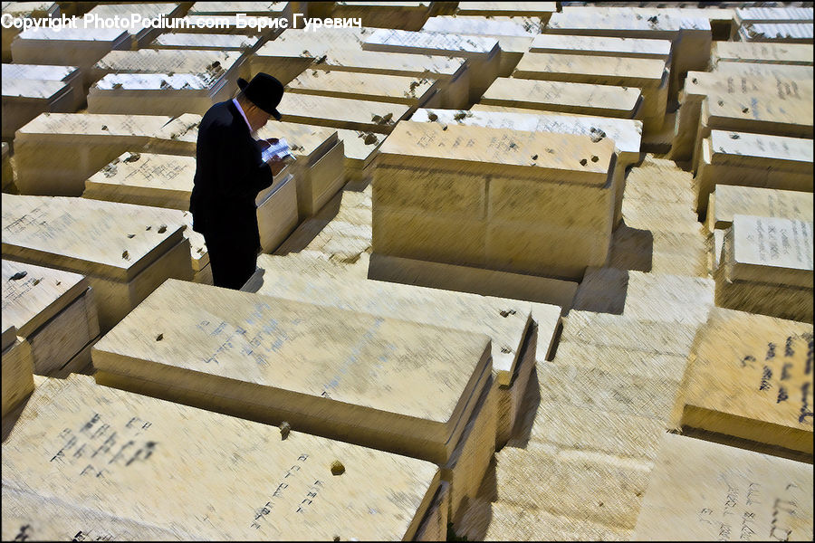 People, Person, Human, Carpenter, Plywood, Wood, Box