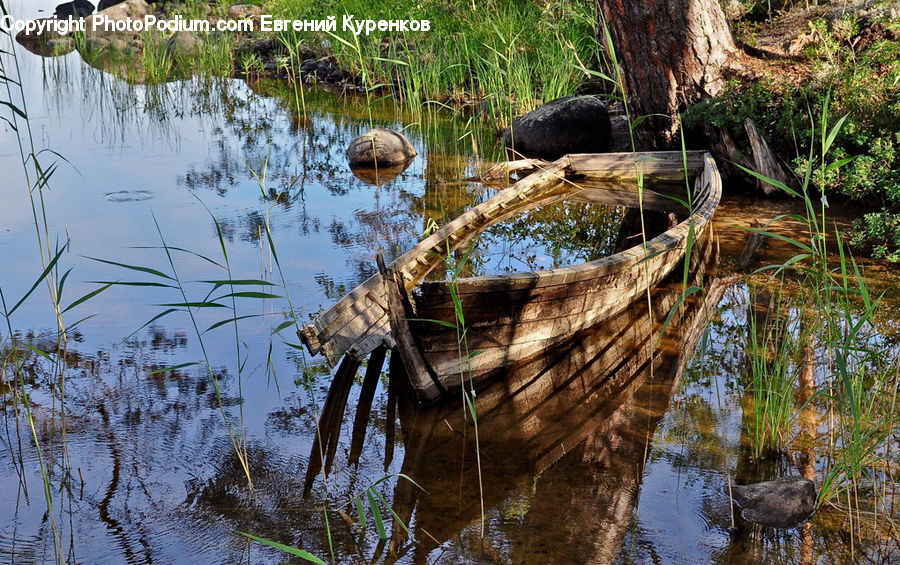 People, Person, Human, Outdoors, Pond, Water, Land