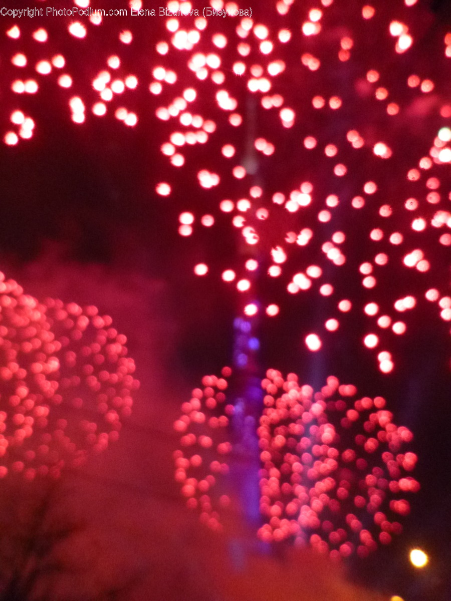 Fireworks, Night, Outdoors, Flora, Plant