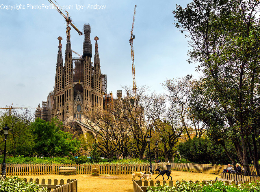 Architecture, Building, Spire, Steeple, Tower