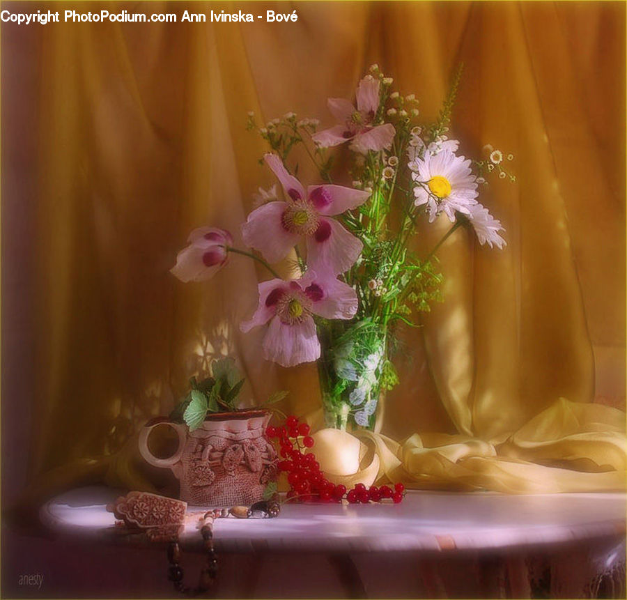 Daisies, Daisy, Flower, Plant, Flower Arrangement, Flower Bouquet, Cup