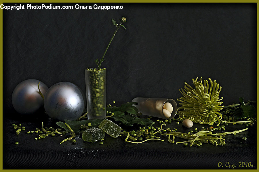 Conifer, Fir, Plant, Tree, Frying Pan, Wok, Leaf