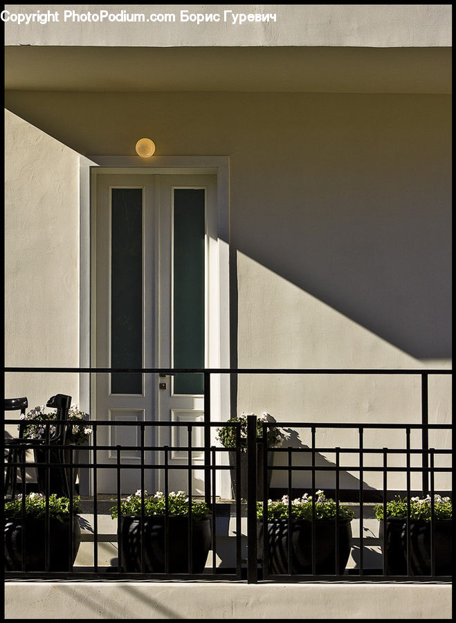 Planter, Potted Plant, Plant, Airport Terminal, Terminal, Banister, Handrail