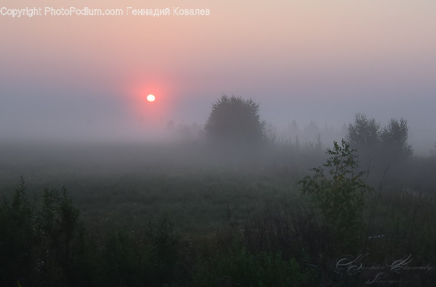 Fog, Nature, Weather, Mist, Outdoors