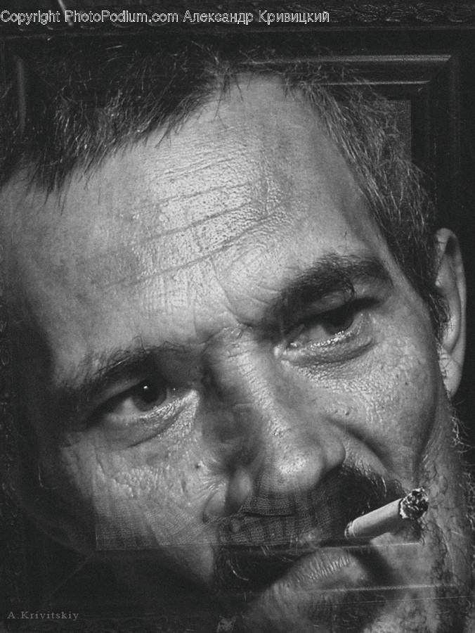 Face, Human, Person, Portrait