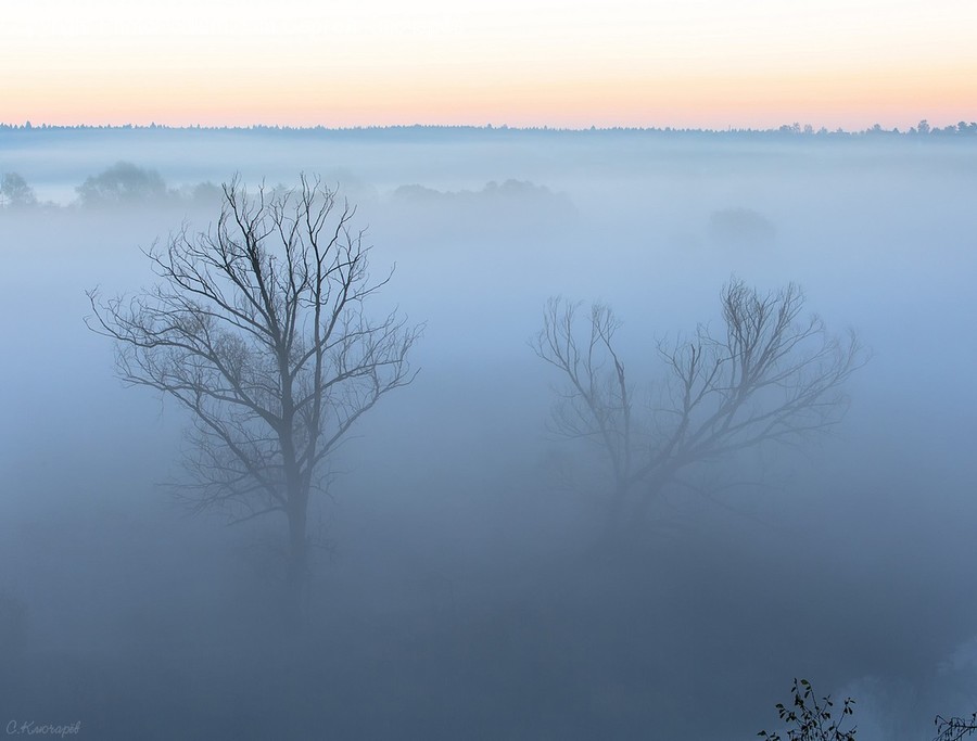 Fog, Nature, Weather, Dawn, Dusk