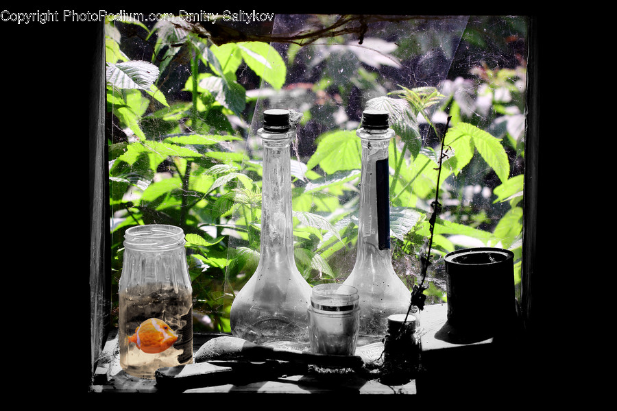 Jar, Cup, Flora, Herbs, Mint