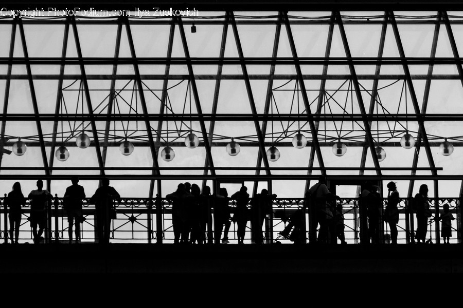 Human, People, Person, Silhouette, Worker