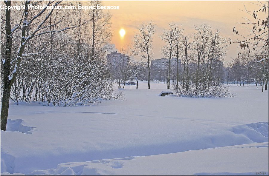 Blizzard, Outdoors, Snow, Weather, Winter, Landscape, Nature