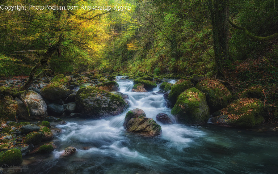 Water, Nature, Outdoors, Stream, Creek