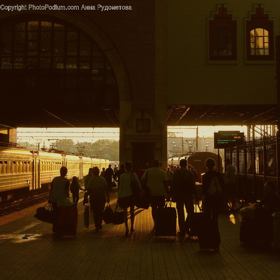 Person, Human, Terminal, Train Station, Train