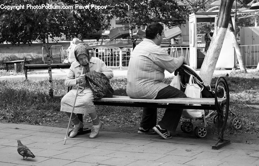 People, Person, Human, Bench, Portrait