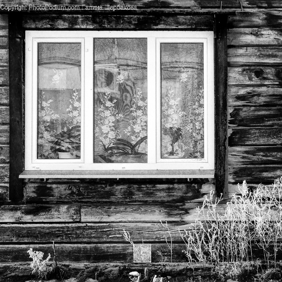 Brick, Window, Wall, Picture Window, Plant