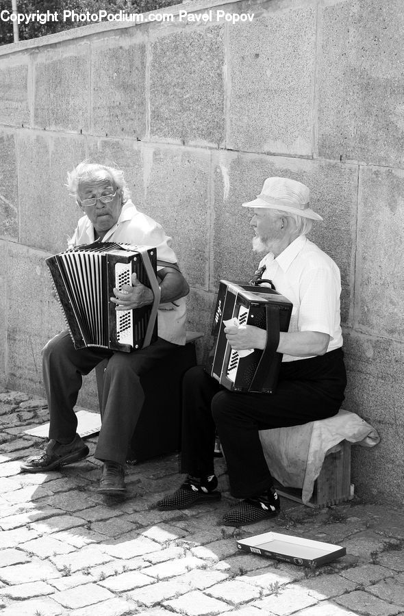 Accordion, Musical Instrument, People, Person, Human, Reading