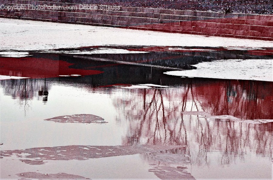 Puddle, Outdoors, Water, Nature, Art