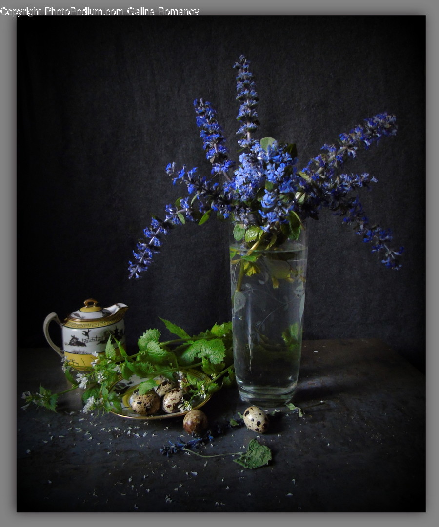 Plant, Pottery, Flower, Blossom, Beverage