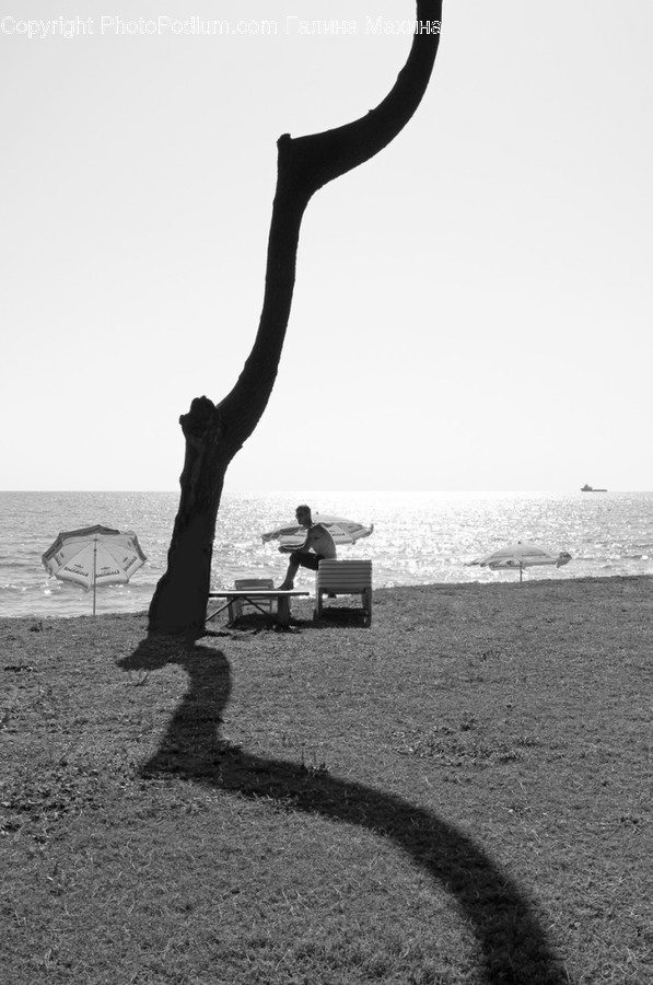 Chair, Furniture, Nature, Sea, Water