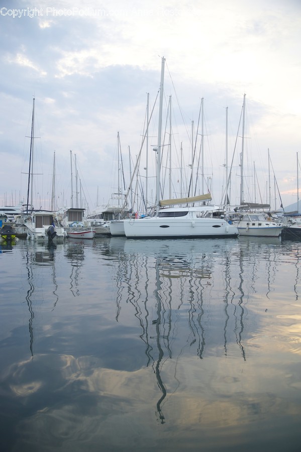 Boat, Transportation, Vehicle, Marina, Water