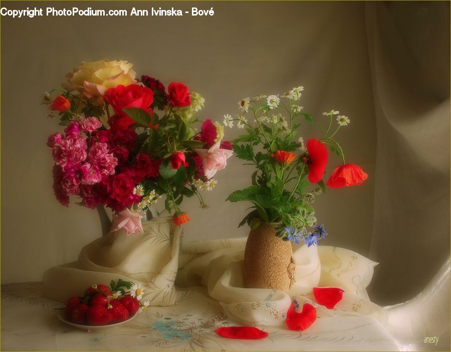 Jar, Porcelain, Vase, Bowl, Plant, Potted Plant, Flower