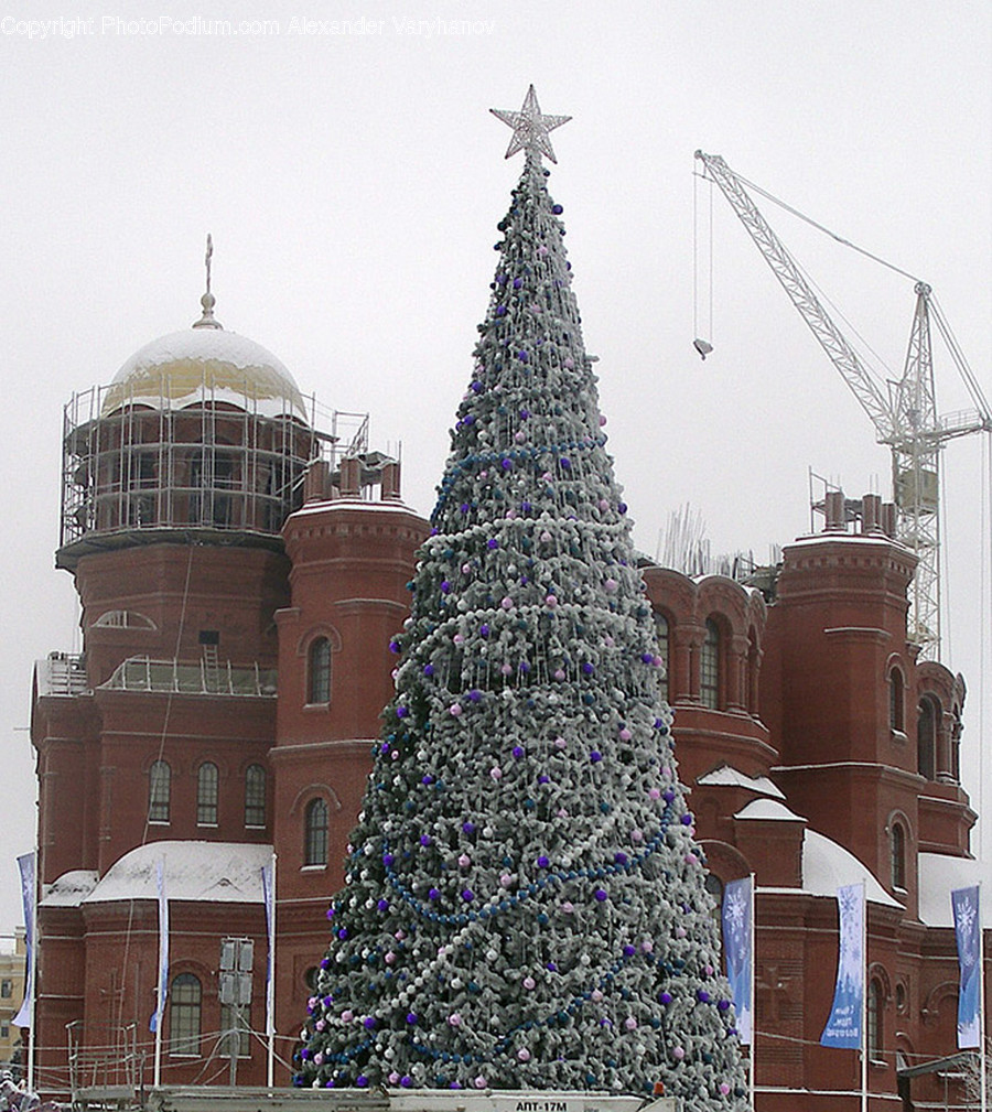Tree, Ornament, Plant, Christmas Tree, Architecture
