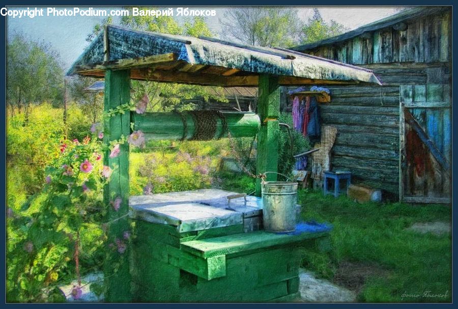 Backyard, Yard, Garden, Gardening, Plant, Potted Plant, Cabin