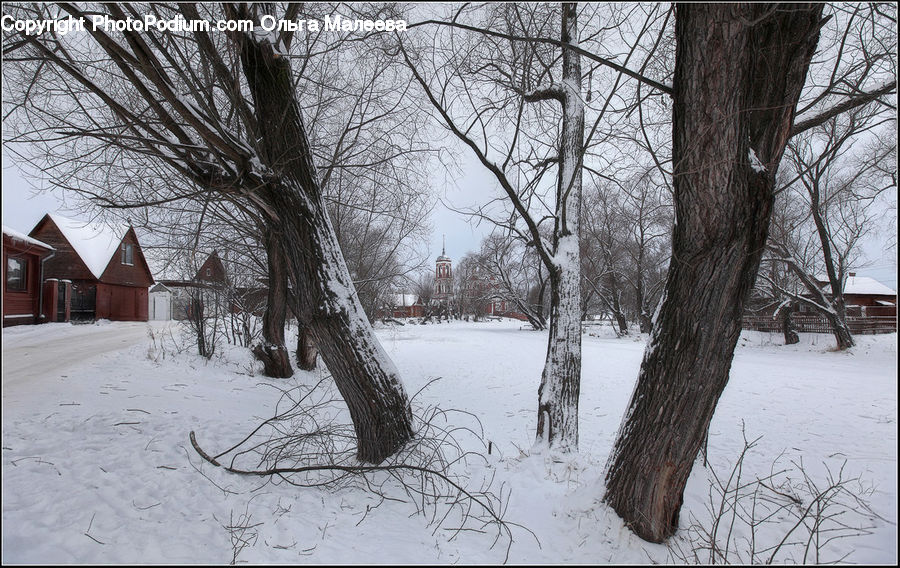 Ice, Outdoors, Snow, Architecture, Plant, Tree, Landscape