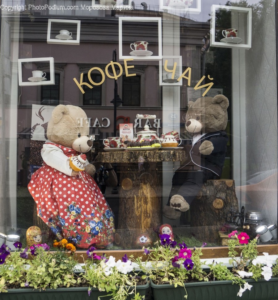 Shop, Window Display, Plant, Toy, Teddy Bear