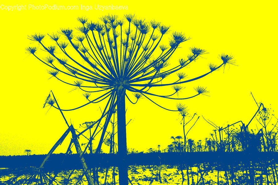 Amusement Park, Theme Park, Plant, Ferris Wheel