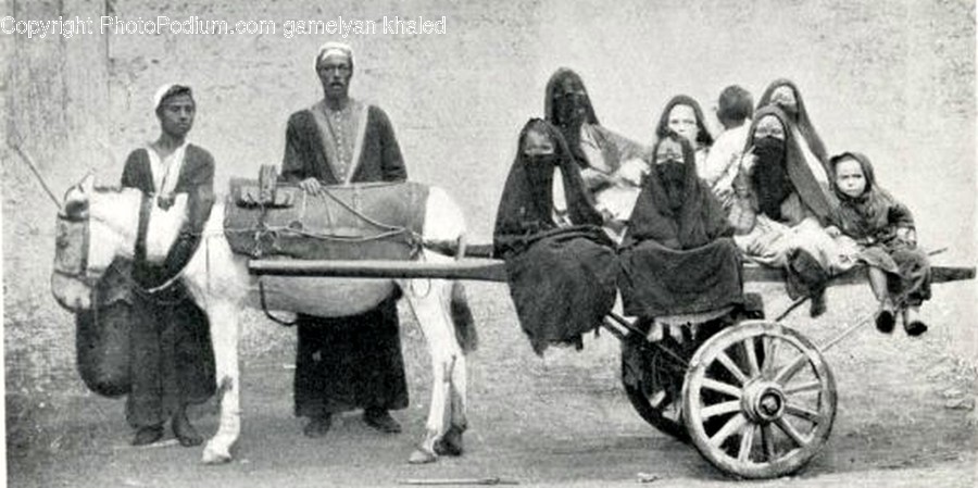 Person, Human, Horse Cart, Transportation, Wagon